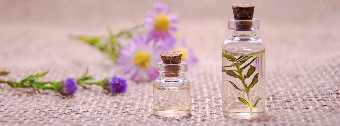 Top Benefits of Lavender Essential Oil