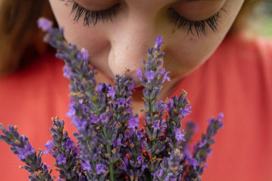 Creating a Relaxing Oasis: The Power of Essential Oil Diffusers NZ