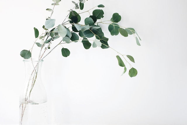 An elegant glass bottle of eucalyptus essential oil surrounded by lush eucalyptus leaves and branches, with a serene spa background featuring soothing candles and soft towels.